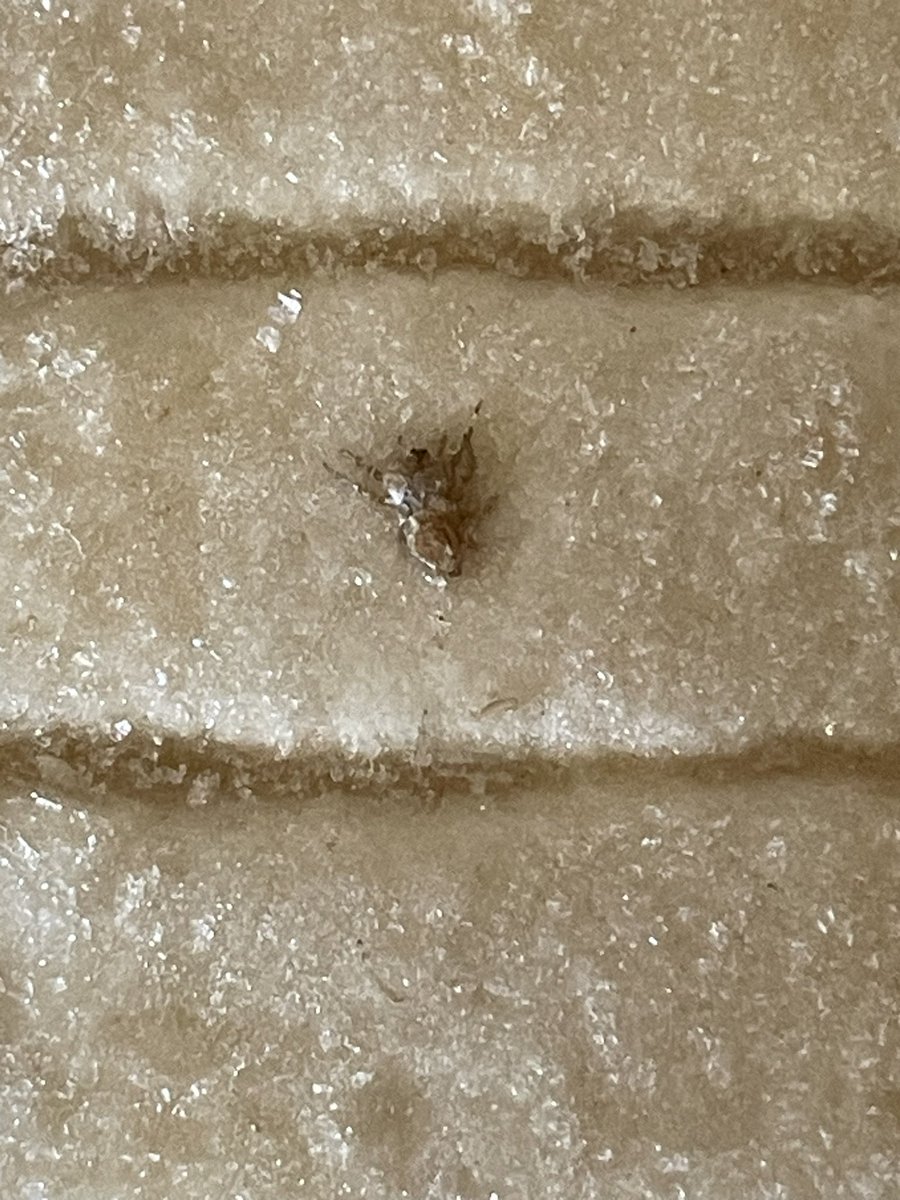 AaronSimon10's tweet photo. @AldiUK I know it’s spooky season, but why have you been freezing bugs onto the tops of your sausage and bean melts? 
🕷️🤢 https://t.co/1d6Pai39zt