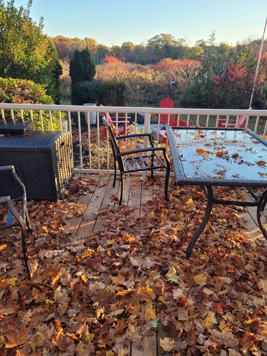 Goooood Morning #FungiFam 🍄☕

Hope you're all waking up feeling #Great &amp; #Grateful on this lovely #WednesdayMorning 🌹

It's a beautiful thing to believe in yourself.. you're the only one that can see your vision and the only one that knows your ambitions