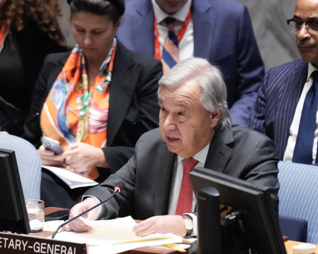 MFSilvaRTP tweet media