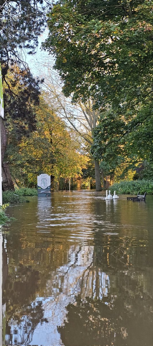 Eveming Golden Hour Light Yesterday at Flooded Riverside @WorcsWT @bbchw @bbcmtd @ThePhotoHour @NewRoadEvents @WorcsCCC @WorcsTravel @WorcsCarnival @Cat_Phillips @SamsungUK @WorcsWhitehouse @VisitWorcs @pac1610 @susanbirthArt @489Tigger #Loveukweather