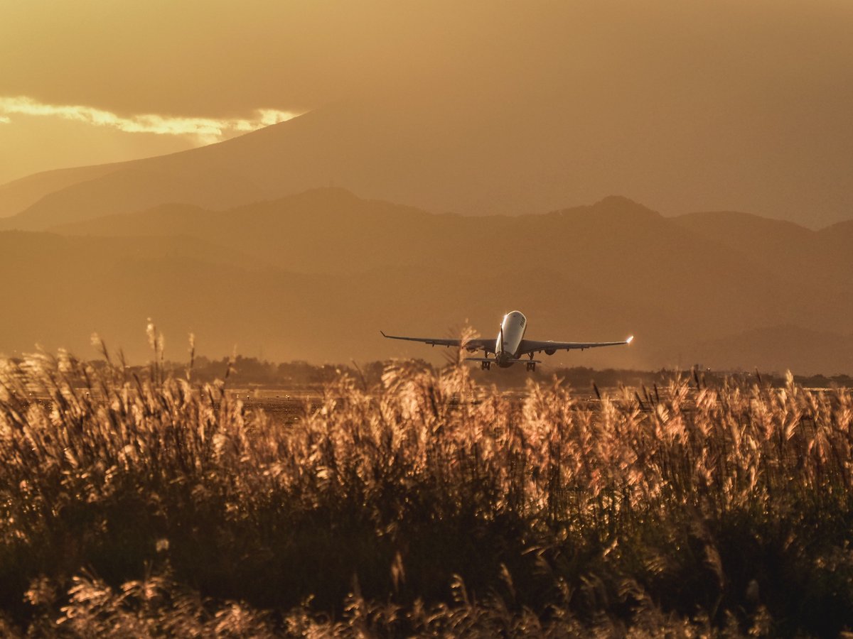 es_uuta's tweet image. いつもの秋の大きな翼𓂃𓂄

#仙台空港 #evaair #a333
#飛行機のある風景
#写真が好きな人と繋がりたい
