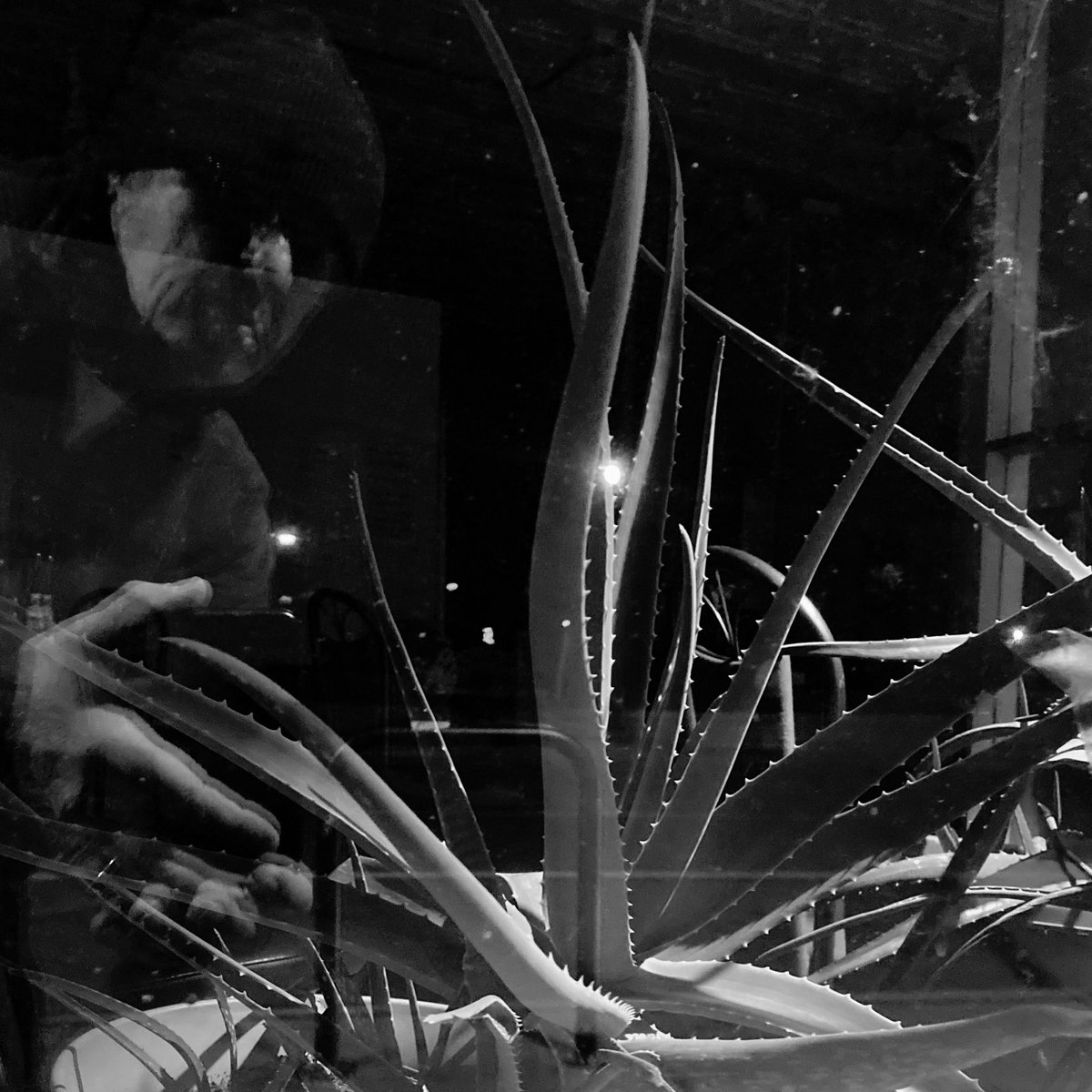 markjwatts's tweet photo. Near #monroeave #roc #rochesterny #windowselfie #blackandwhitephotography https://t.co/QvoG3jKlqJ