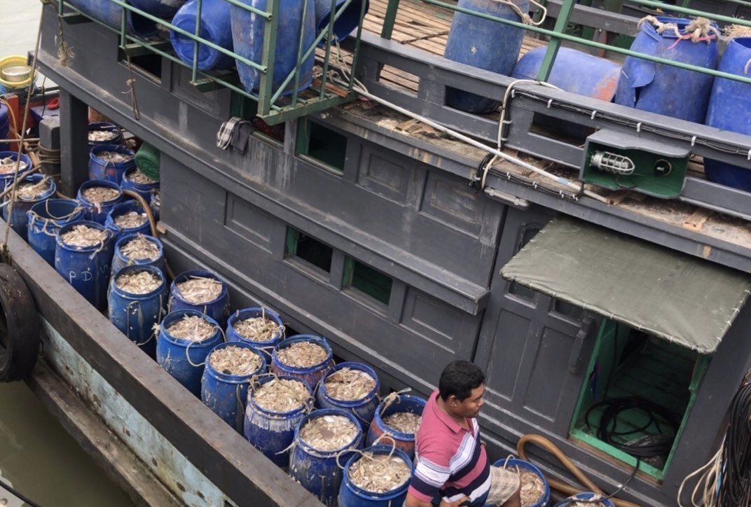 NKFISHMEAL's tweet photo. October 25,2023 https://t.co/XyukZWvhPa