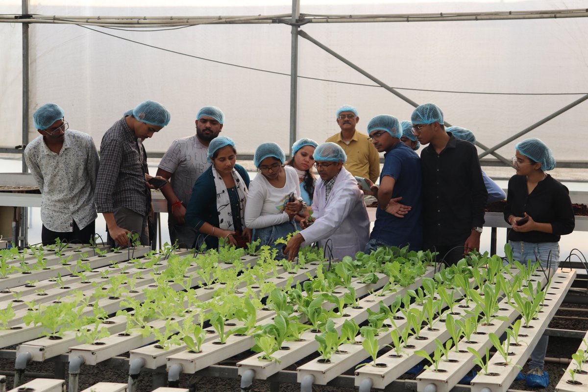 IhtGreaternoida's tweet photo. Students from Din Dayal College (DU) Dwarka visited for 1 day to grab the basic knowledge of Hydroponics , the upcoming future farming. 

#hydroponic #nurserytraining #mushroomfarming #polyhousefarming https://t.co/rXaHkxA1KC