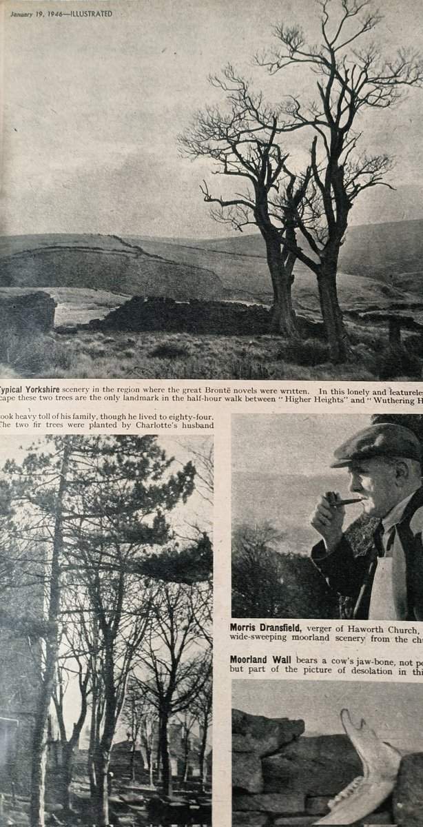 DebsGreenJones2's tweet image. Deb&apos;s Daily Brontë
I have been looking for a photo of Top Withins when It still had a roof on it. Found it eventually ! #wutheringHeights #Howarth