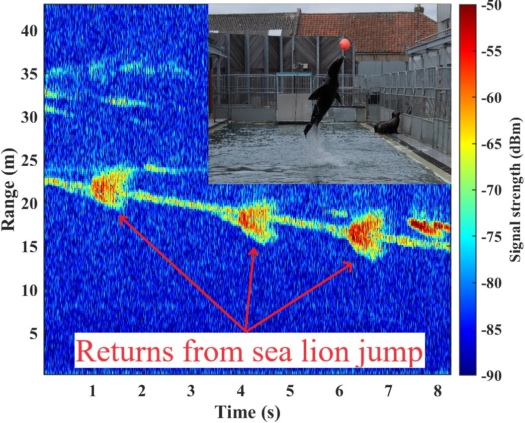 Congratulations on the newly published special issue paper on the ‘#Radar signatures of sea lions at K-band and W-band' by @SamiurR26203940, @ABVattulainen, Duncan, and Ryan, on Sonar & Navigation. doi.org/10.1049/rsn2.1… @PhysAstroStAnd @physicsscotland @EngineeringStA4