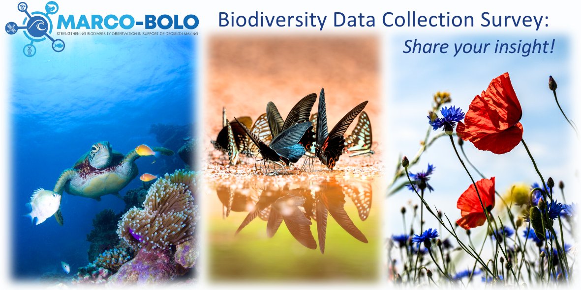 Final week to tell us what YOU need from #Biodiversity #Data.

So far: 800+ responses from 60+ countries! 
Can we do even more by October 31st? 📆

🕒 It only takes 10-12 minutes and 25 questions to contribute.

👉 lnkd.in/eCC5rCVC

@MARCOBOLO_EU #TimeToShare #OneMoreWeek