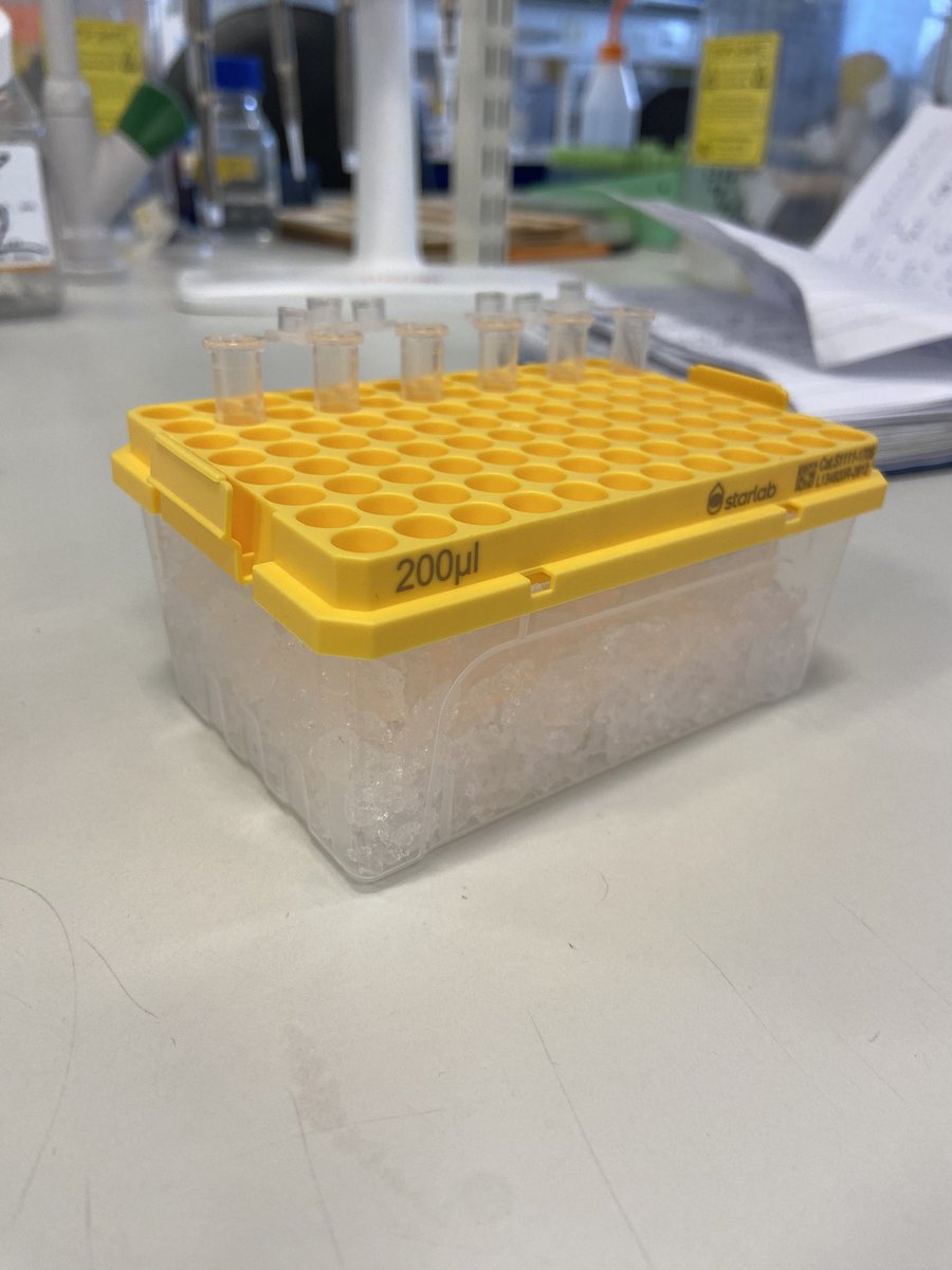 Making this my contribution to #StarlabSustainability - a makeshift benchtop cooler using old tip box parts!!