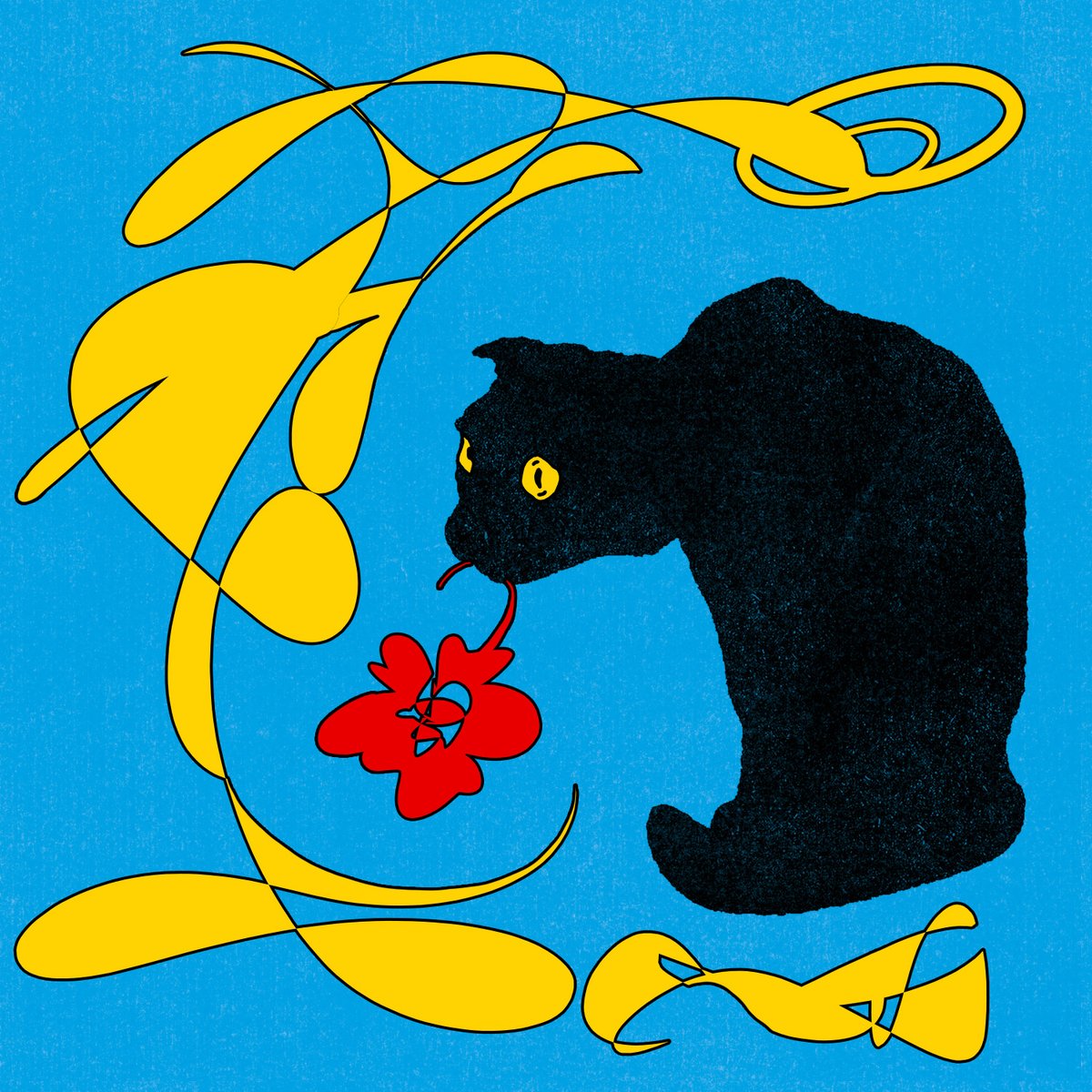 Gm gm 🔵⚫️

art is long, life is short.