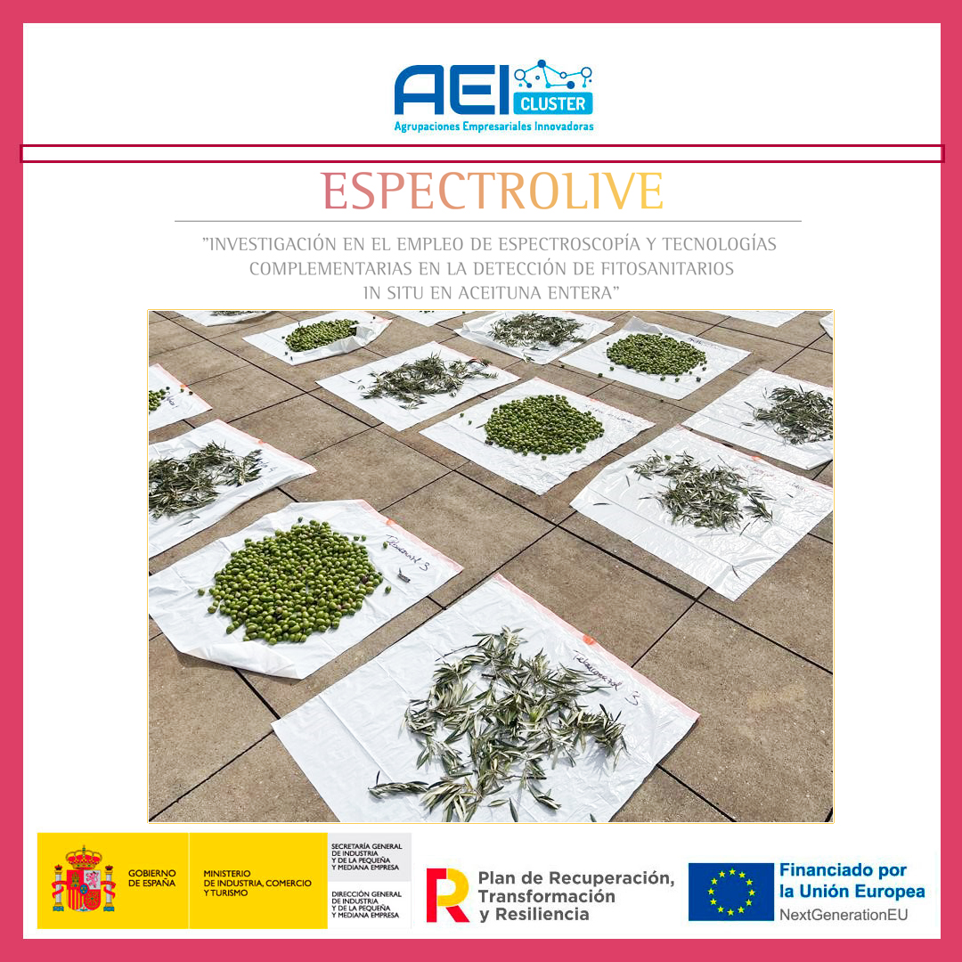 citoliva's tweet photo. 🔴⚫️#ULTIMAHORA I 📉🚜🌳#espectrolive

📰Procesado de muestras para los 1⃣ ensayos 

🎯Empleo de #espectroscopia  y tecnologías complementarias en la detección de fitosanitarios in situ en #aceituna entera

🤝#INOLEO @secpho #AOTECH #iSR @ujaen @upvehu 

💰@mincoturgob https://t.co/sJTy56ENKM