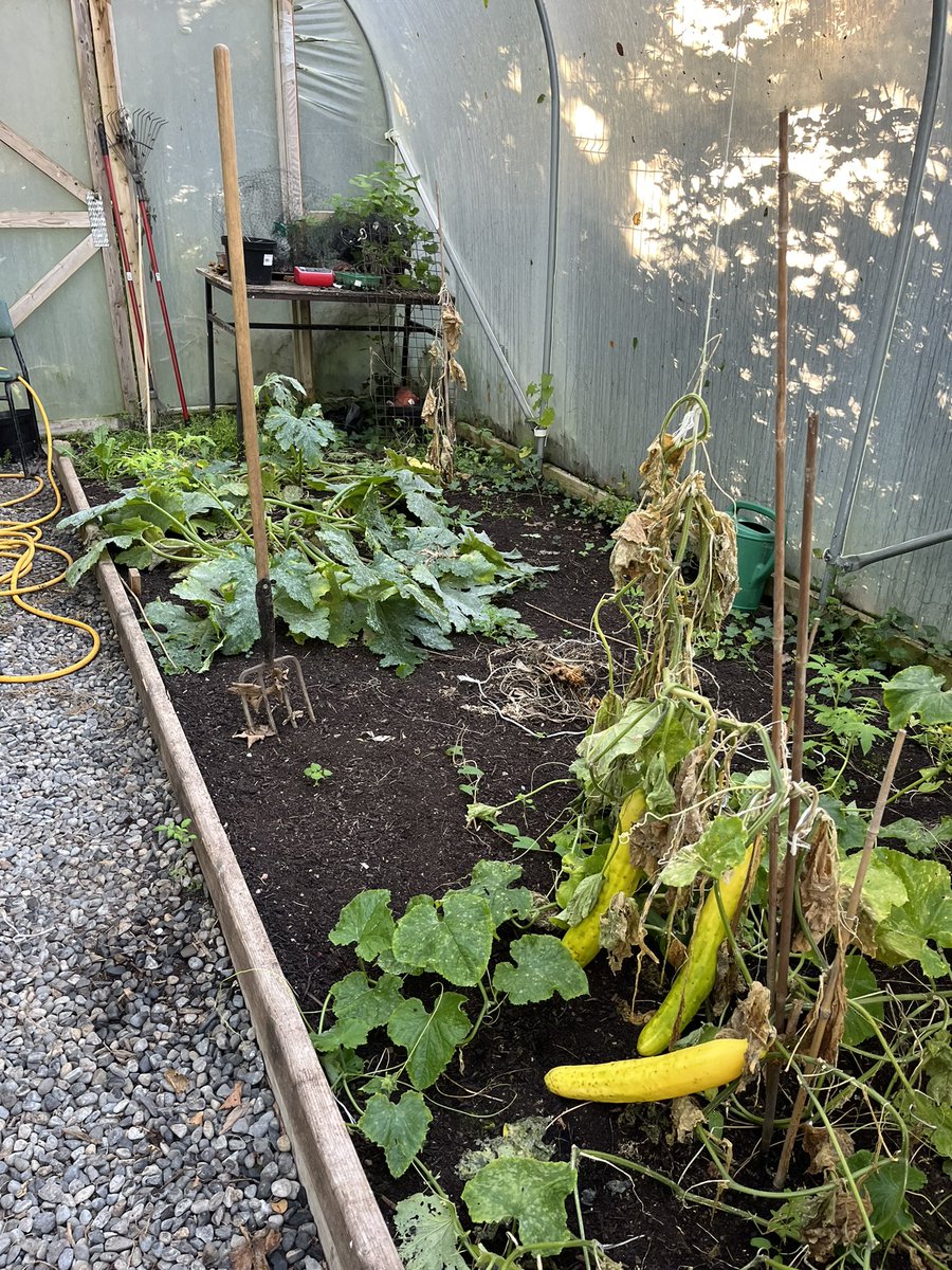 Colman Power tweet media