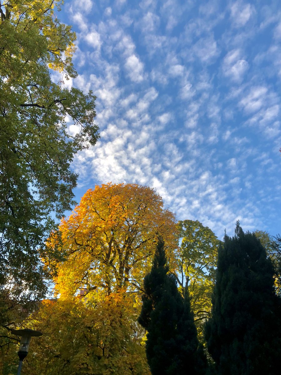 Gewitterjaeger's tweet image. Etwas Farbe kam heute morgen vor Sonnenaufgang ins Spiel. Jedoch nicht in der Ausprägung wie neulich. 

#Morgenrot #goodmorning #Wetter