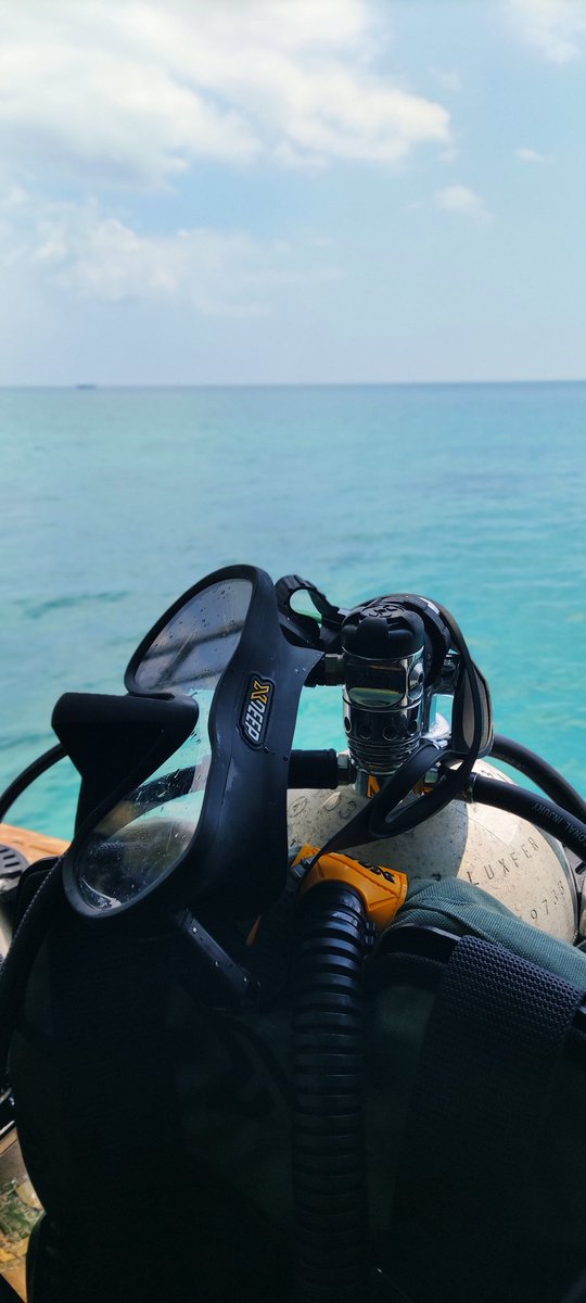 ShafrazNaeem's tweet photo. Dive days are almost over.
#xdeep #indoneisa #sulawesi @Visitindo https://t.co/Yvby7V30x2