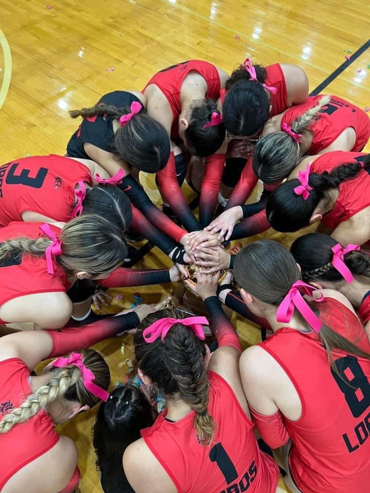 VolleyballLobos's tweet image. Lady Lobos 30 5A District Champions!!!