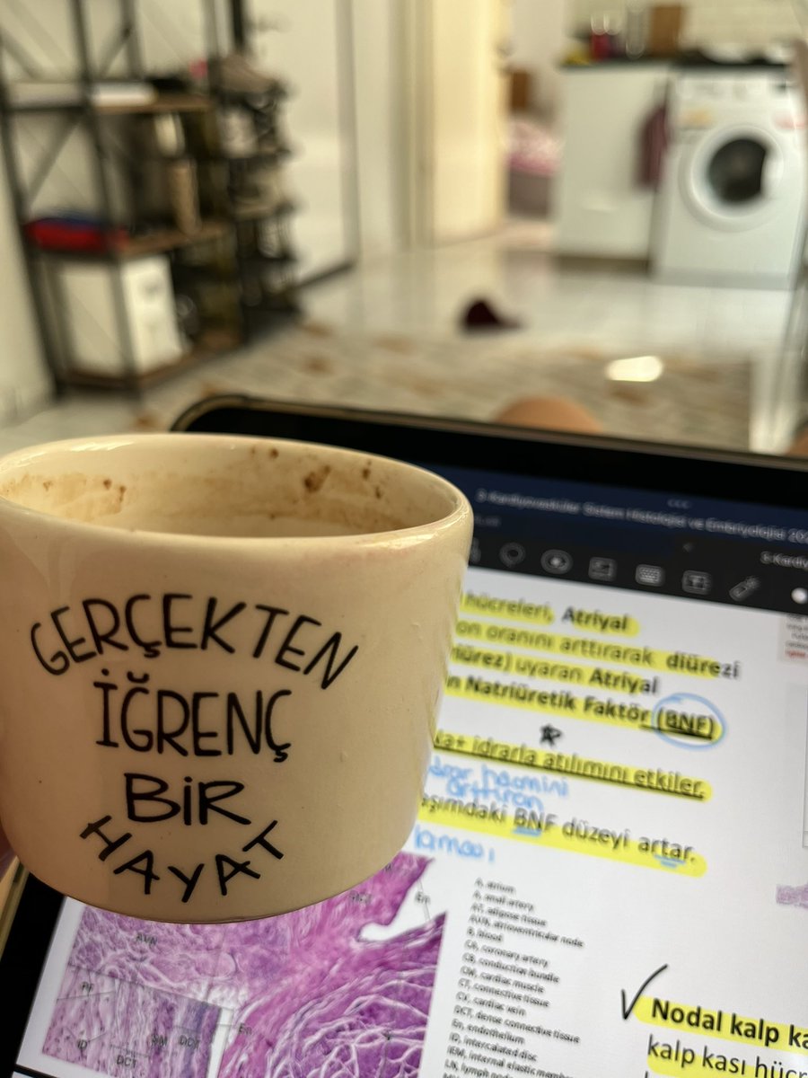 güne biraz pozitif basalım dedik