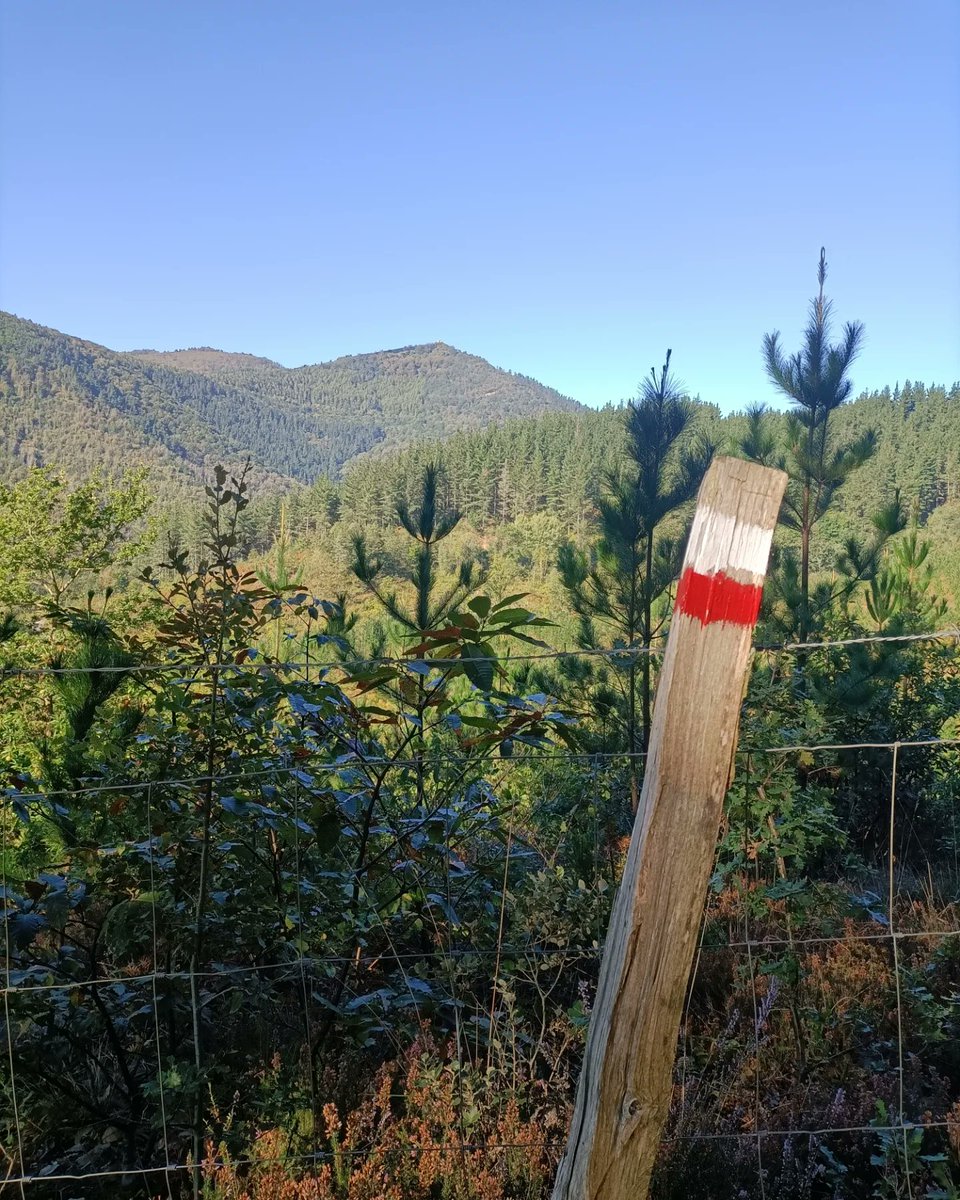 mendira_eus's tweet photo. 📢Nueva ruta en la web:
⛰️ Kolitza (883 m)
🏘️Desde Balmaseda 
📏5,6 km
🔼680 m
Más fotos, mapa y track: https://t.co/QdOgKdgNho
#mendira #euskalmendiak #mendiak #montes #montaña #trekking #senderismo #kolitza #balmaseda #bizkaia #euskadi #euskalherria #enkarterri https://t.co/mcLHA0eDkV