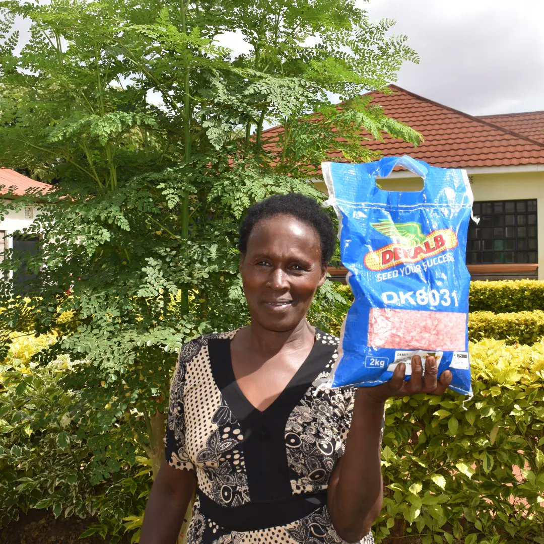 As we prepare for the rains, we supported 200 farmers with certified maize seeds through our subsidy program. This is part of our efforts to brace livelihood diversification and improve food security.
#foodsecurity  #sustainablelivelihoods  #foodresilience