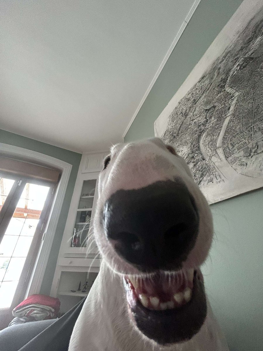 🌺 coline 🐬 tweet media