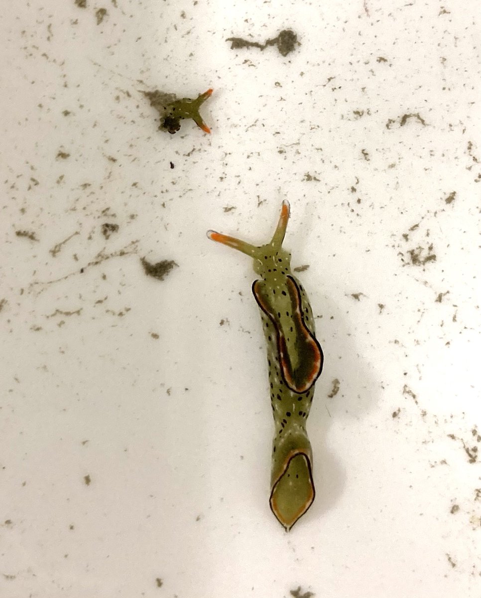 杭州下城区小姐上门高端外围女（电话微信：199_6767_4114)☞（telegram