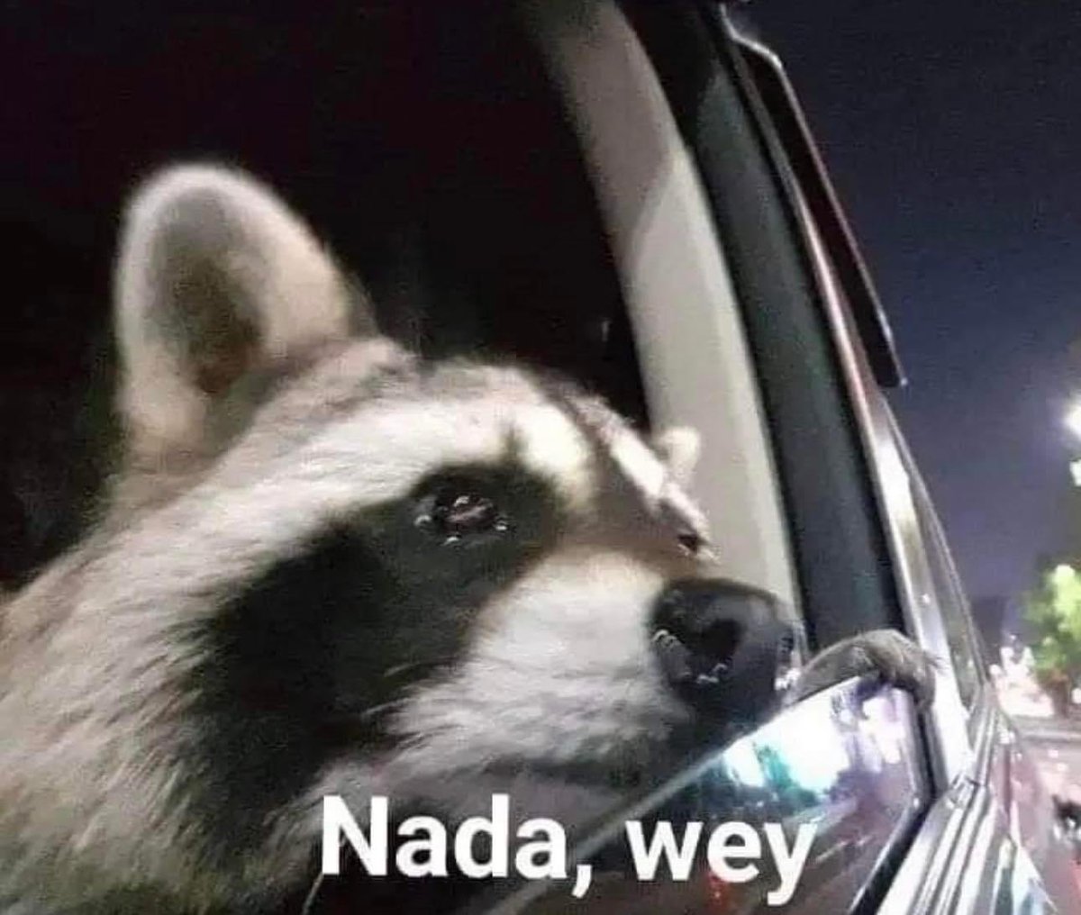 corridosybandas's tweet photo. – Mi compa: ¿qué tienes?

– Yo todo alcoholizado y apunto de llorar: https://t.co/bWiEmcQlu8