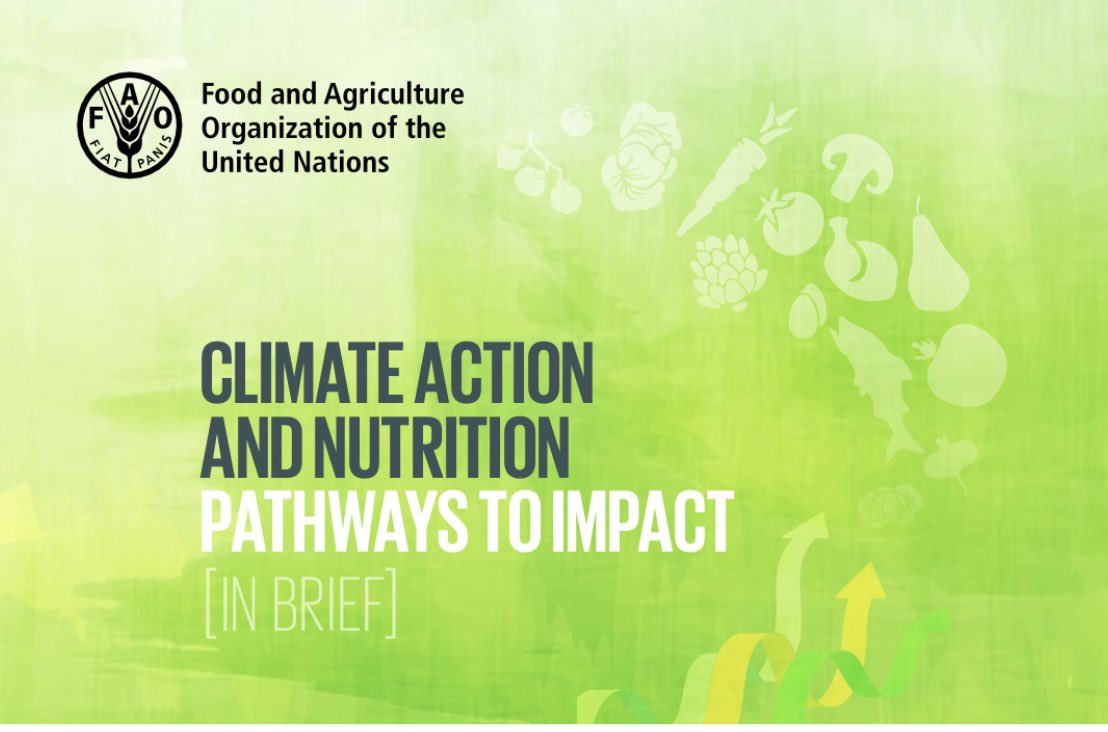 UN_Nutrition's tweet image. 📣NEW: Climate Action and Nutrition- Pathways to Impact
@FAO new paper paving the way for united action to simultaneously tackle two of the worlds greatest challenges launched during todays #CFS51 I-CAN events ahead of @COP28
👉Read here: fao.org/3/cc8206en/cc8…