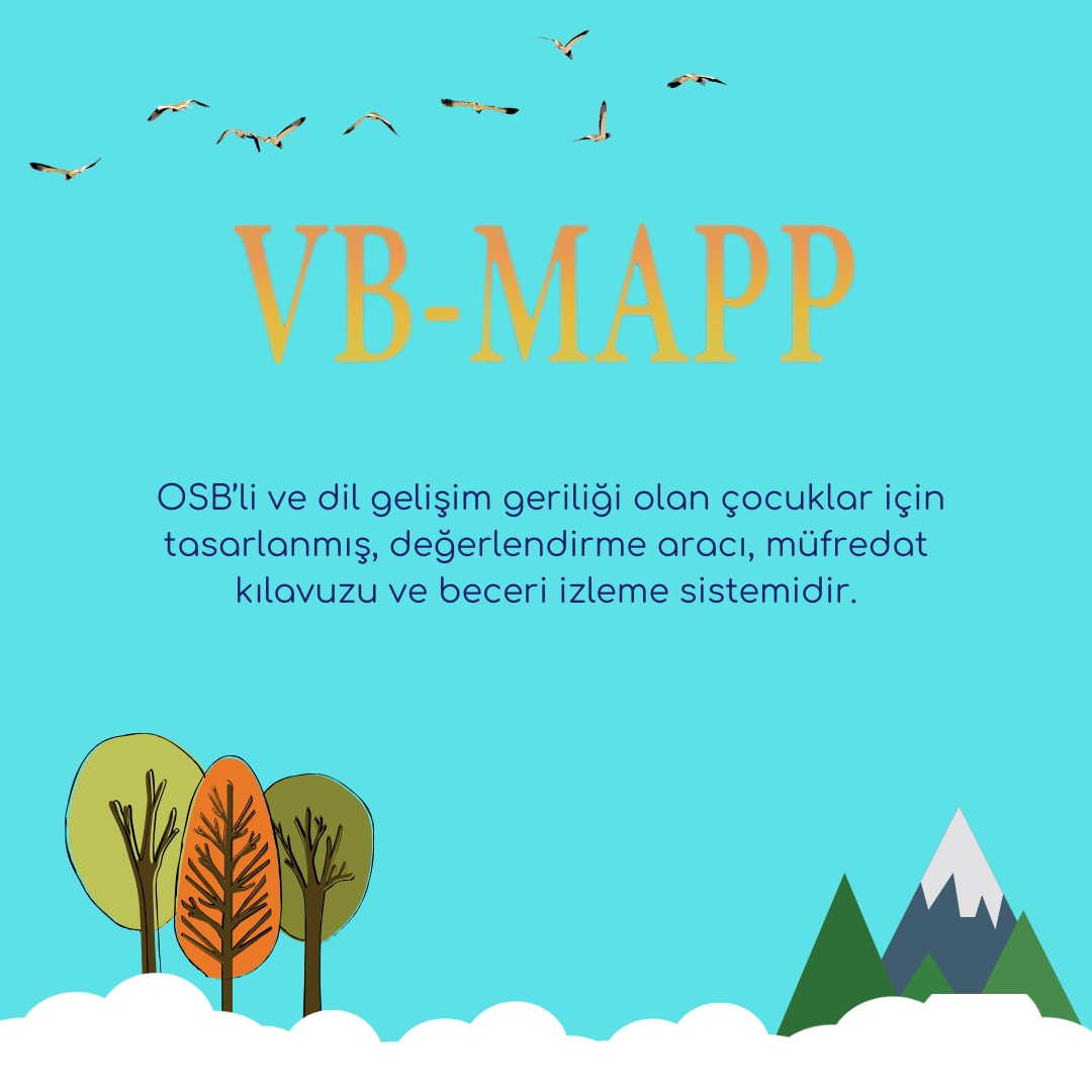 vbmappturkiye's tweet photo. VB-MAPP, OSB’li ve dil gelişim geriliği olan çocuklar için tasarlanmış, değerlendirme aracı, müfredat kılavuzu ve beceri izleme sistemidir.
#VBMAPP #otizm #alpaslanotizmvakfi #sozeldavranis https://t.co/1O9aYmXNTW