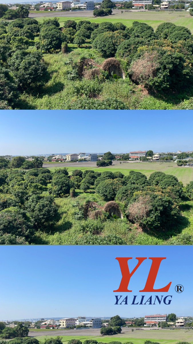 Yaliang_tw's tweet photo. "Nature's vibrant colors and the warm sun's embrace make it hard to believe that autumn has arrived. 🌿☀️ #EndlessSummer #GreeneryEverywhere"#taipei #taichung #mechanical #taiwan #magnetic #drillchuck #yaliang #sleeve #industry #cnc #cncmachining #accessories #hexkeydrillchuck https://t.co/S8dLO1Z4rY