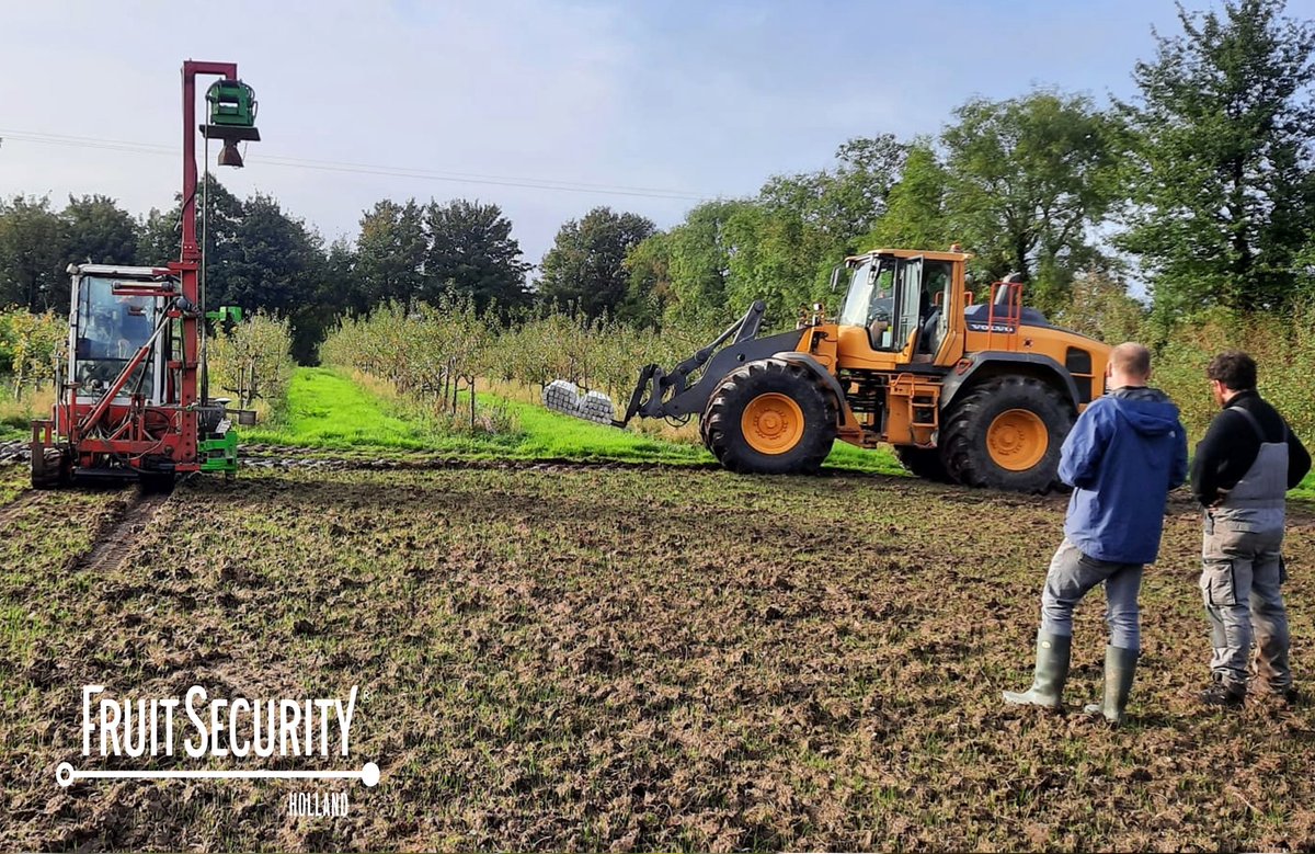 FruitSecurity's tweet photo. 𝗧𝗵𝗲 𝘃𝗲𝗿𝘆 𝗳𝗶𝗿𝘀𝘁 𝗵𝗮𝗶𝗹𝗻𝗲𝘁𝘀𝘆𝘀𝘁𝗲𝗺𝘀 𝗶𝗻 I𝗿𝗲𝗹𝗮𝗻𝗱
D&amp;W Vriend was able to press the very first hail net posts in Ireland last month! It was slightly wetter than in the Netherlands, but D&amp;W Vriend always continues.
@SpinazzeGroup https://t.co/BvFzGkDrti