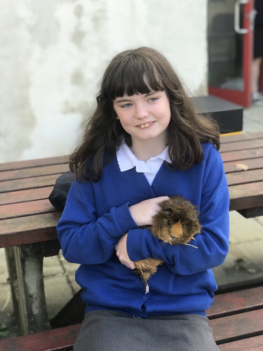 School for Inspiring Talents tweet media