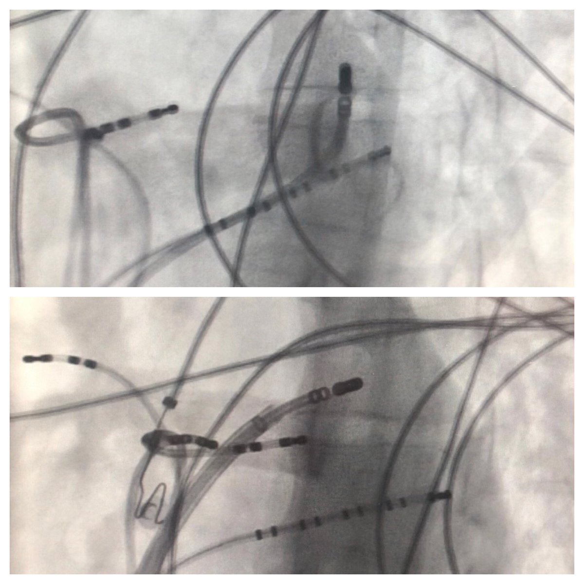 javad mikaeili tweet media