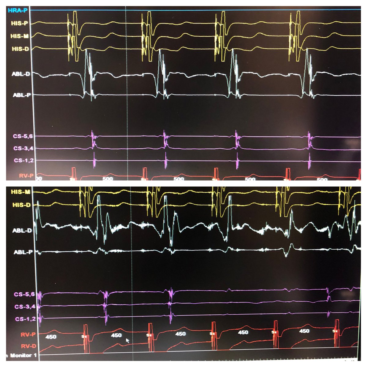 javad mikaeili tweet media