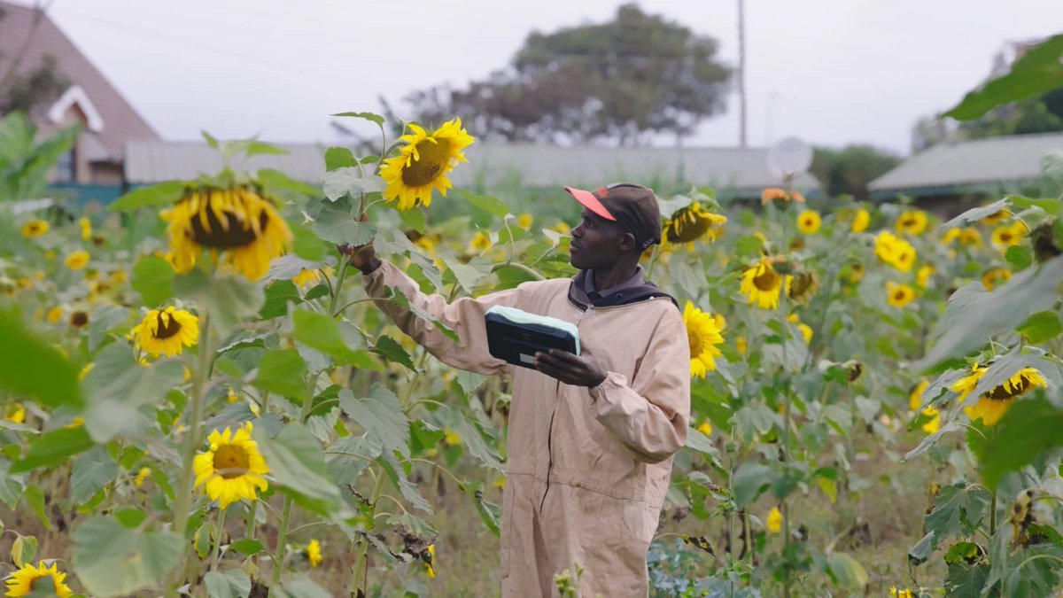 szdaily1's tweet image. #InDepth As mobile phones, desktop and laptop computers become more ubiquitous in daily life, another useful tool is a #tabletcomputer, as it complements the aforementioned devices. In #Kenya, a #solarpowered tablet plays a more important role than most conventional #tablets do.…