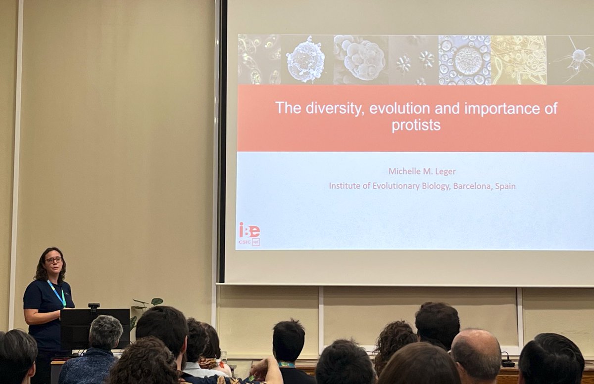 Aida Verdes (@aida_verdes) on Twitter photo Opening the second day of #CISA23 we have our plenary speaker Michelle Leger @freejakoba, talking about the fascinating world of protists! You can follow her talk at the <a href="/mncn_csic/">Museo Nacional de Ciencias Naturales</a> YouTube channel m.youtube.com/watch?v=y-x9Kw… Opening the second day of #CISA23 we have our plenary speaker Michelle Leger @freejakoba, talking about the fascinating world of protists! You can follow her talk at the <a href="/mncn_csic/">Museo Nacional de Ciencias Naturales</a> YouTube channel m.youtube.com/watch?v=y-x9Kw…