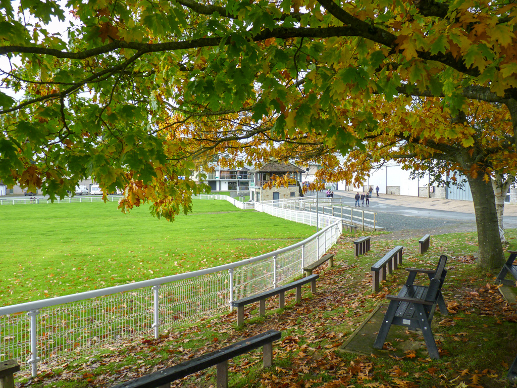 Glorious Autumnal colours at the Royal Welsh showground Llanelwedd Builth Wells @ItsYourWales @VisitMidWales #peoplewithpassion