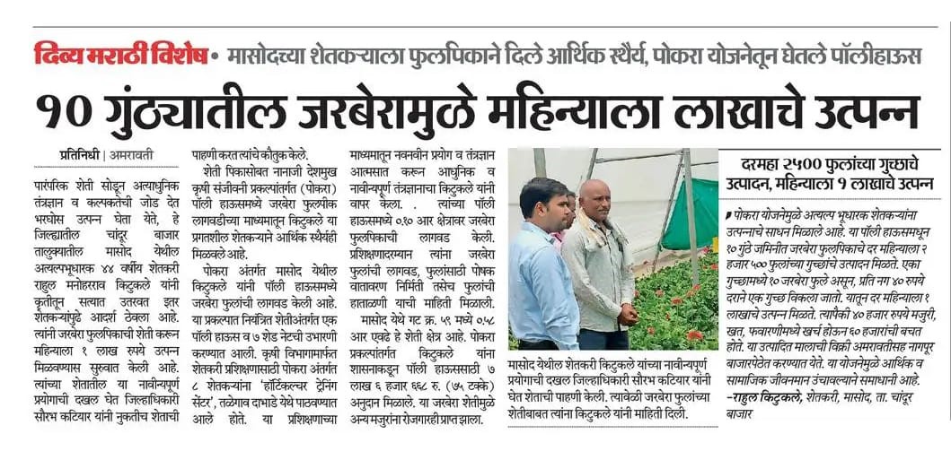 Gerbera in polyhouse earns lakhs for farmer in Amravati district.