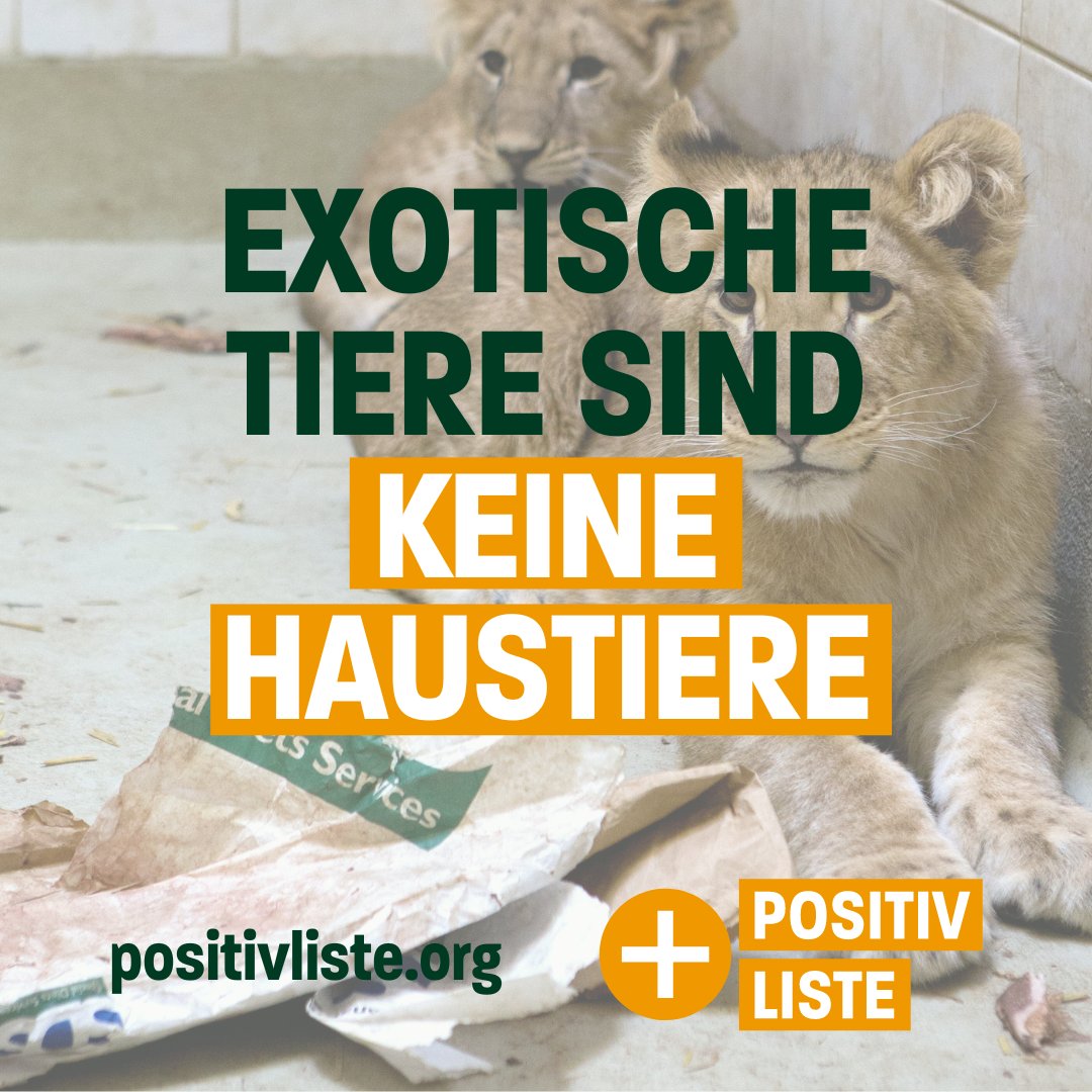 Weil wir JETZT die Gelegenheit haben, wirklich etwas zu verändern: #werdewyld und fordere die Einführung der #positivliste! Wie du ganzs unkompliziert aktiv werden kannst erfährst du unter positivliste.org/#mithelfen 🙌