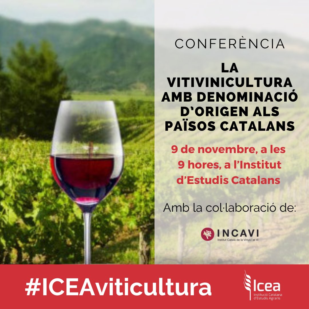 IceaCat's tweet photo. 🍷El 9 de novembre, parlem amb representants i coneixedors de les DO de diferents zones dels Països Catalans per conèixer la situació actual de la seva #vitivinicultura, els reptes als quals s’enfronta i les seves estratègies de futur.

https://t.co/uQJqAU4EMf
#viticultura https://t.co/DvrMBZlUVQ