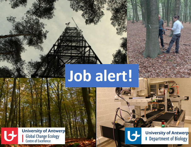 GCE_UAntwerp's tweet photo. We are recruiting! 👇 👇 👇 
Interested to work on a PhD thesis at @UAntwerpen  in the field of wood biomass production and forest carbon cycling? Don’t hesitate and click below. Cooperation with @ugent and @ICOS_RI!
https://t.co/eNxVfUYNTs https://t.co/WfEViSLwhN