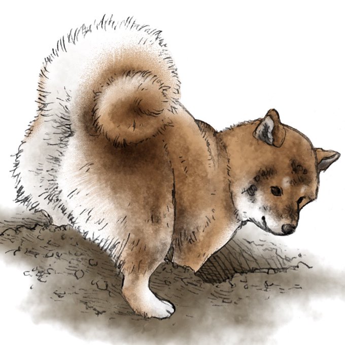 「shiba inu simple background」 illustration images(Latest)｜5pages