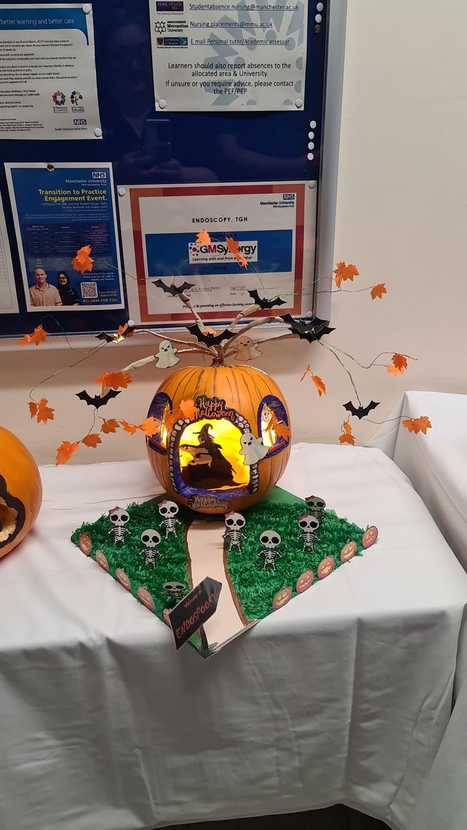 Lisa McClay (was Johnson) tweet media