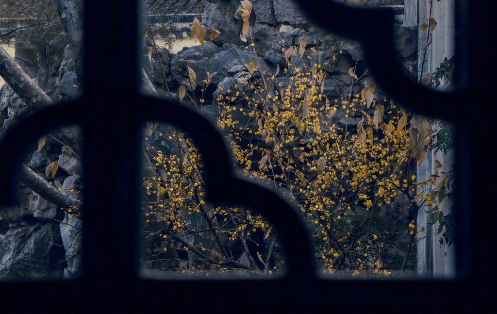 pingtanchina's tweet image. The world through a Chinese window. Which is your favorite season?

#Seasonschange #Chinesearchitecture