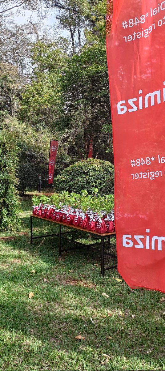 HapaKenya's tweet photo. .@AbsaKenya plans to plant 10 Million trees by 2025 

#ForceForGood https://t.co/t3JPMqo9Yz