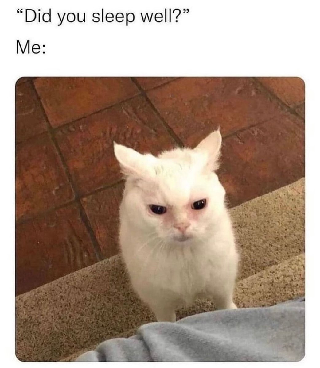 Eazy7__'s tweet photo. Read my face😾

GM 🌅 btw https://t.co/TqQbKb4dtj