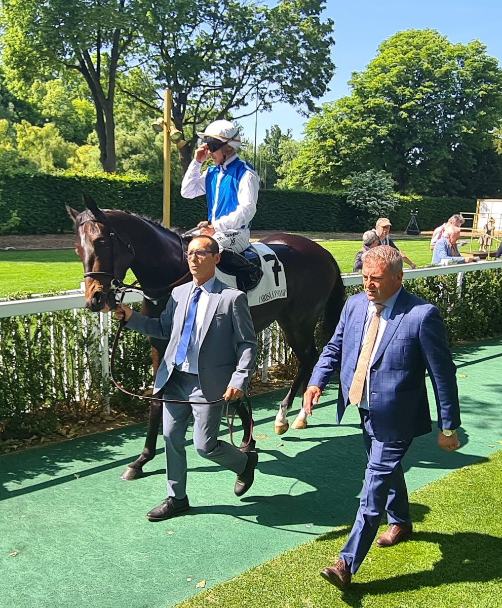 seenthestars's tweet photo. French horses nominated for @LonginesEq Hong Kong International Races December 10 at Sha Tin Racecourse
#SimcaMille (Vase)
#HorizonDoré (Cup & Vase)
#Junko (Vase)
@HKJC_Racing https://t.co/u3lAZTUSxF