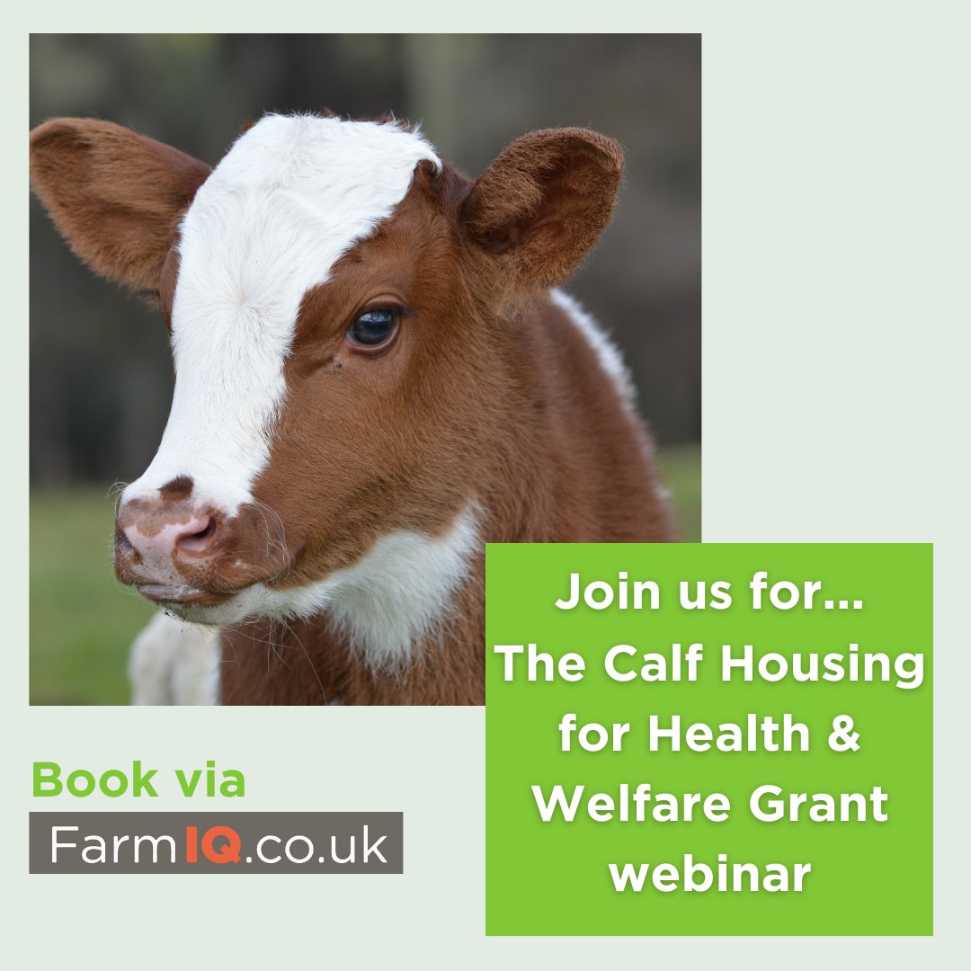 Join us for the Calf Housing for Health & Welfare Grant Webinar  Find out more or book using the link in our bio or below; farmiq.co.uk/course/calf-ho…
#kingshay #farmiq #webinar #cattle #calf #housing #grants #farming #healthandwelfare #joinus #free