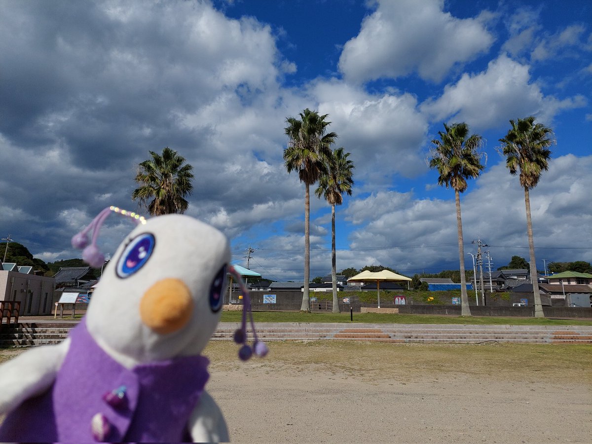 hittyhouse's tweet photo. 海にきました～
#たましいの小鳥 #ぬい撮り https://t.co/SMzuSyK8ke