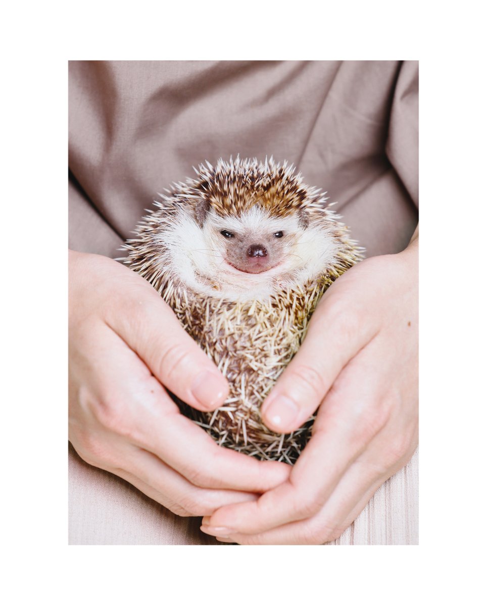 company：Animal Image Tokyo

STUDIO BENBENで撮影させていただいた写真はホームページギャラリーにて完全無料で掲載させていただきます。
お気軽にご投稿ください♪
 #撮影スタジオ #自然光スタジオ #撮影会 #広告撮影 #youtube撮影 #作品撮り #作品撮り