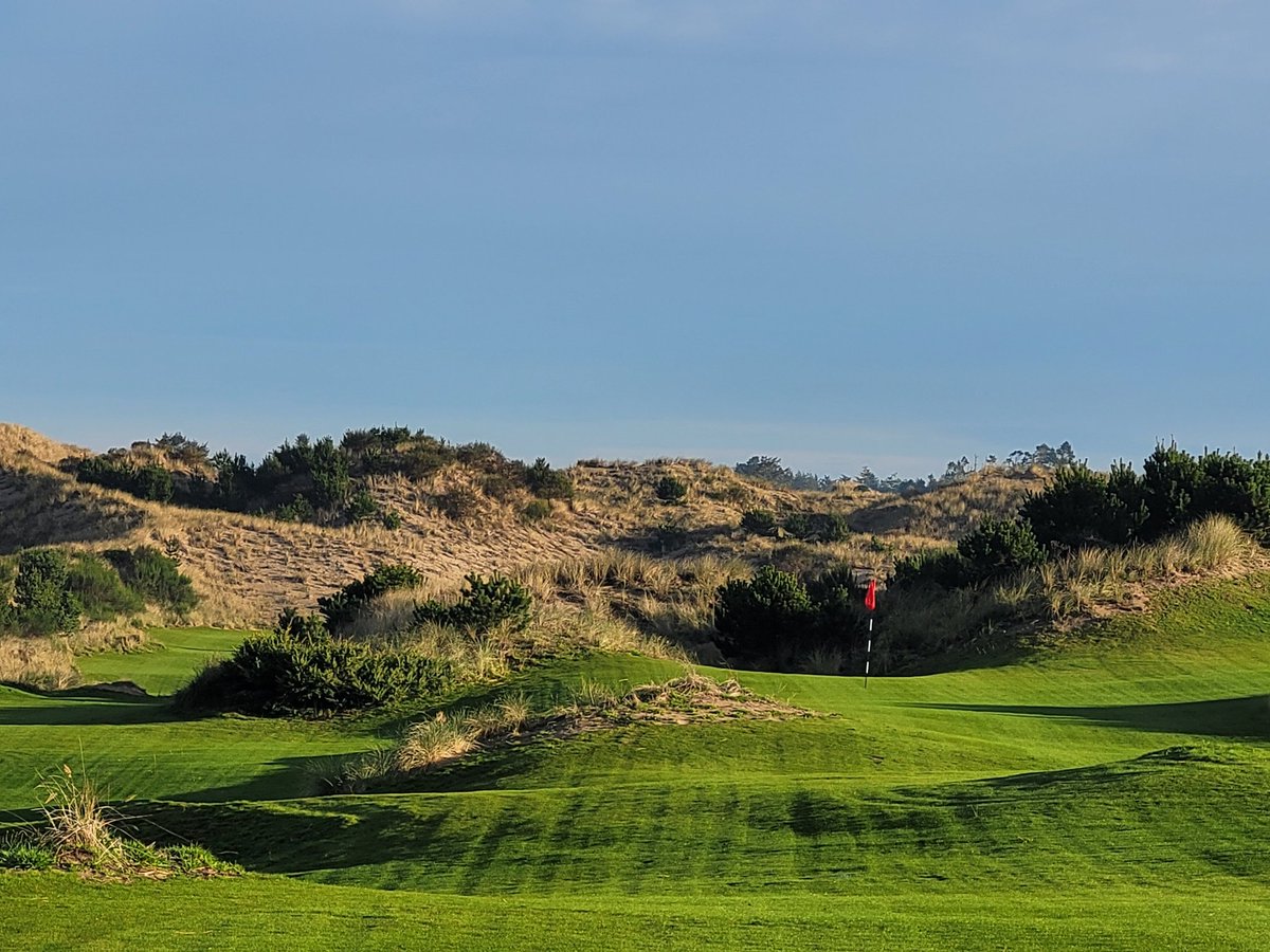 More Shorty's pics from this morning.