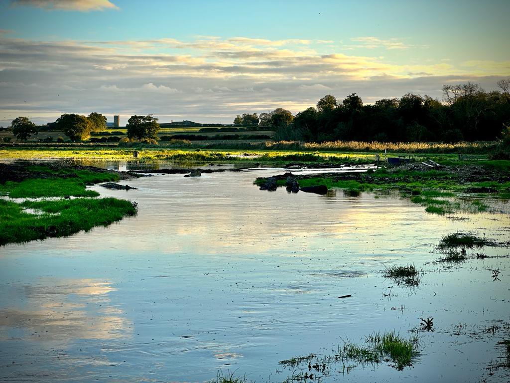 Jake Fiennes tweet media