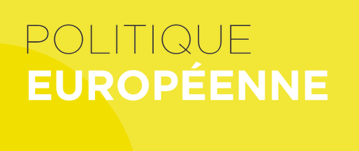 - 📚 🇪🇺 Guerre en Ukraine, enjeux migratoires, élections européennes  2024, respect de l’État de droit, processus d’élargissement, réforme  institutionnelle, défi numérique, etc. : de crise en tragédie, les  sujets ne manquent pas qui appellent décryptages, analyses.